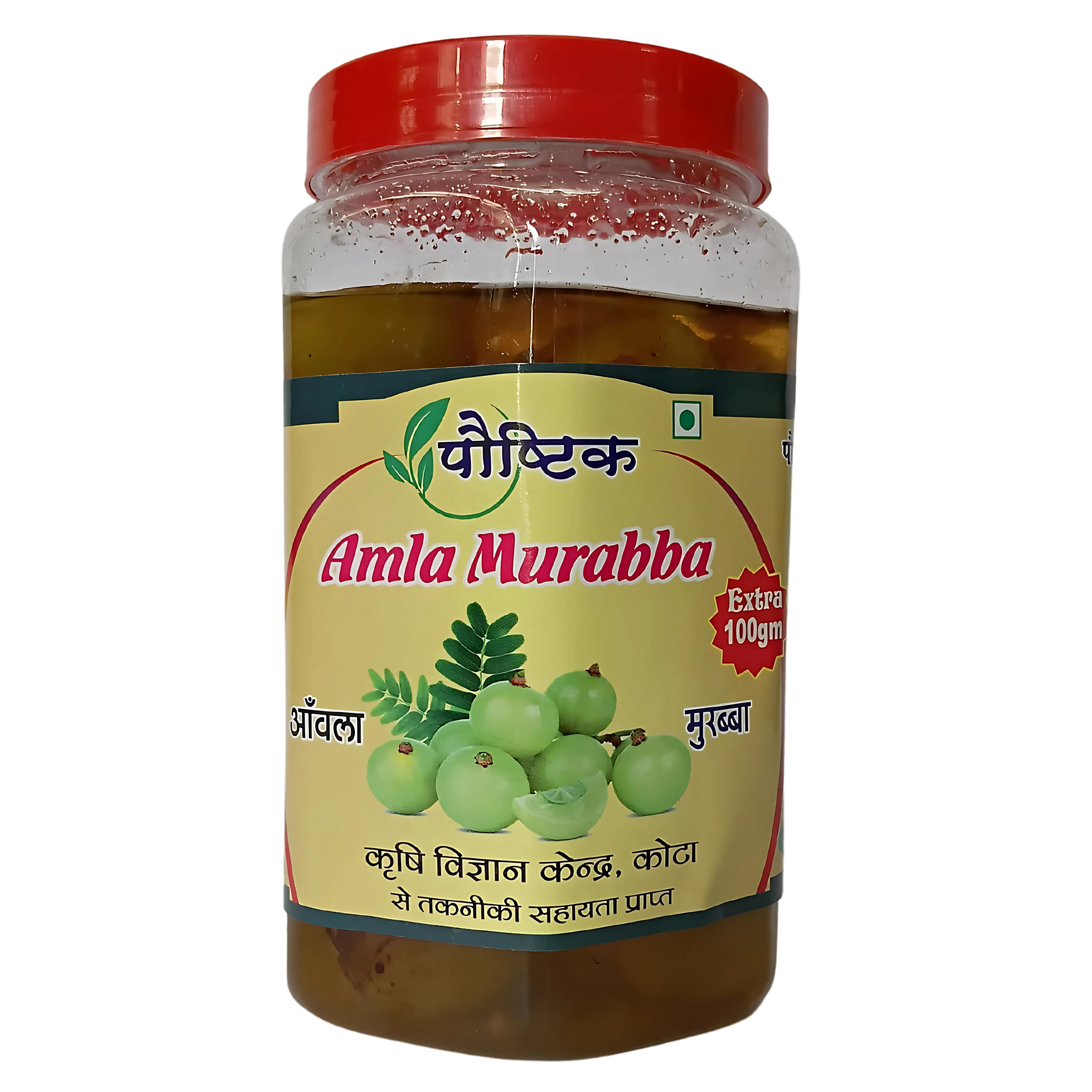 Shree Ji Poshtik Amla Murabba/450 gm